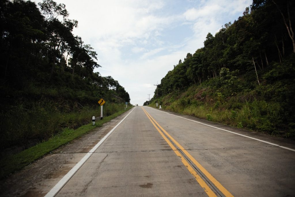 an empty road in the middle of a forest